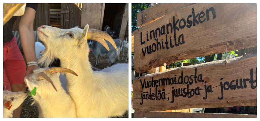 Linnankosken Vuohitila